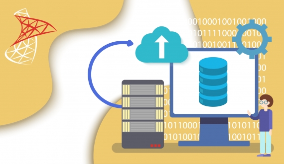 Система управления базами данных MS SQL Server